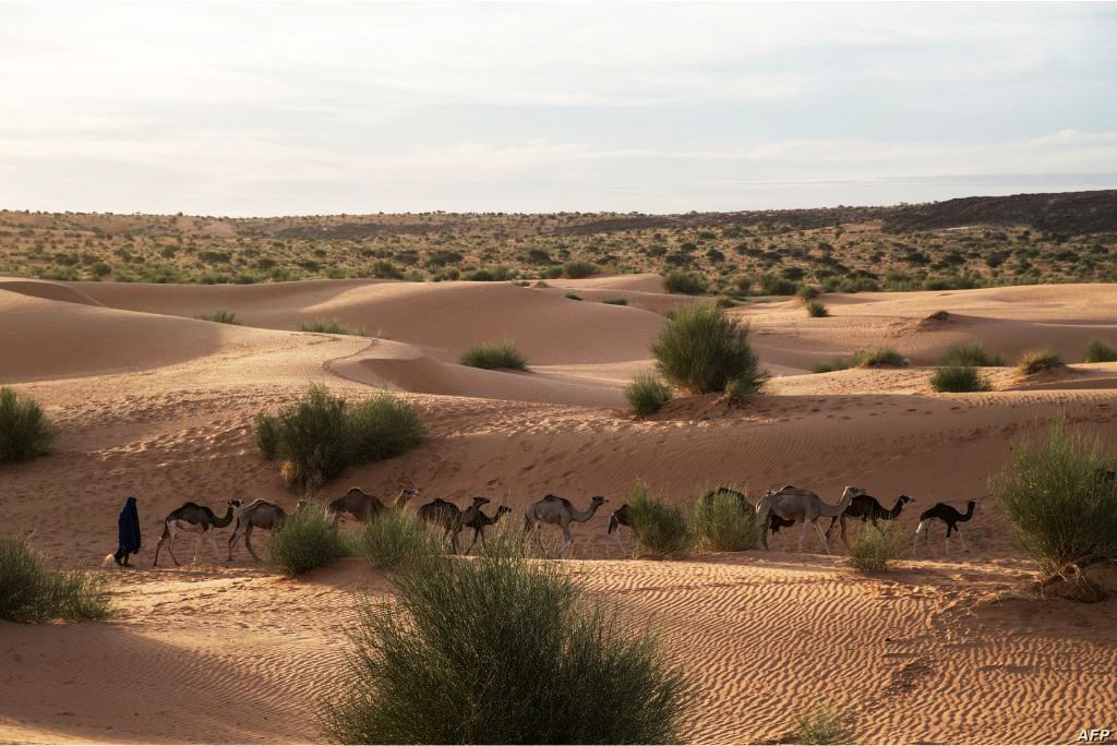 صور من موريتانيا مع التعليق