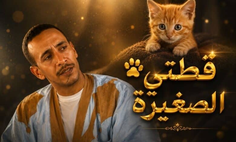 موقع زاد الحق - قطتي الصغيرة قطتي الصغيرة
