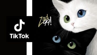 التعامل الصحيح مع بثوث التيك توك: كيف يفوتك النجاح بسبب التردد