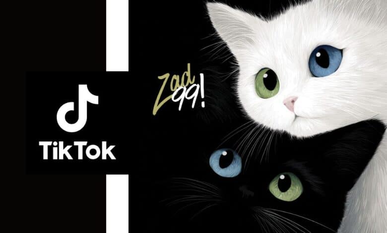 التعامل الصحيح مع بثوث التيك توك: كيف يفوتك النجاح بسبب التردد