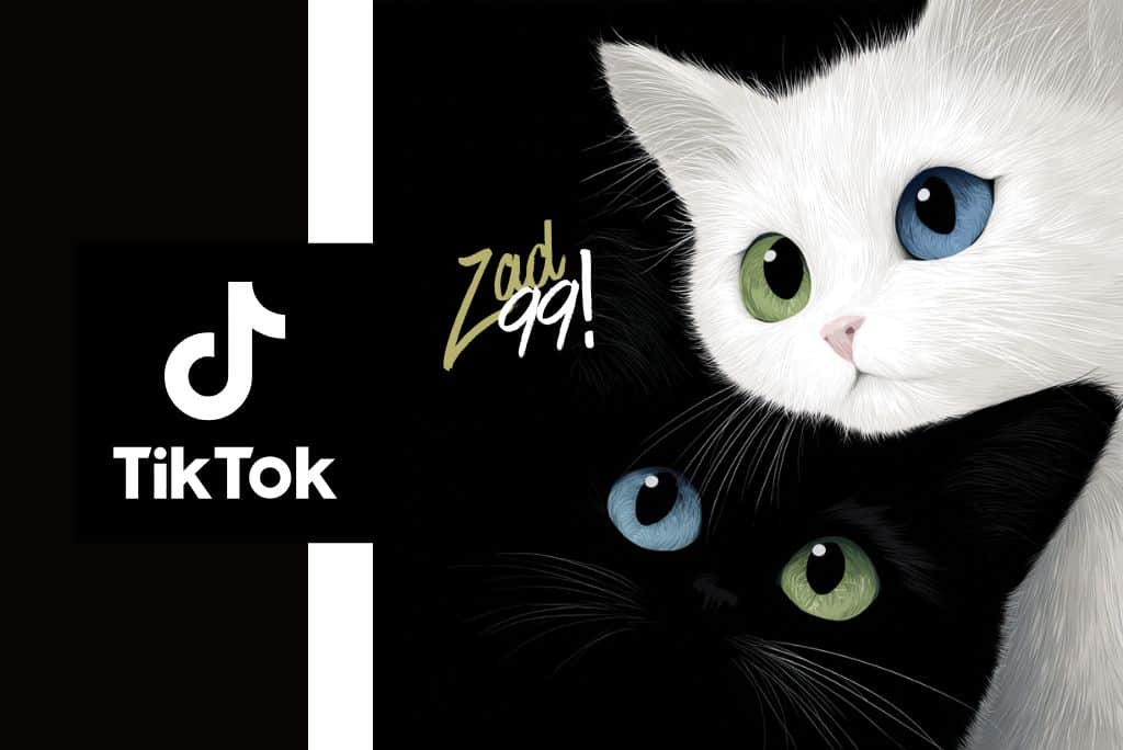 التعامل الصحيح مع بثوث التيك توك: كيف يفوتك النجاح بسبب التردد