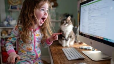 تفريغ المحاضرات الصوتية من خلال برنامج Voicetype AI