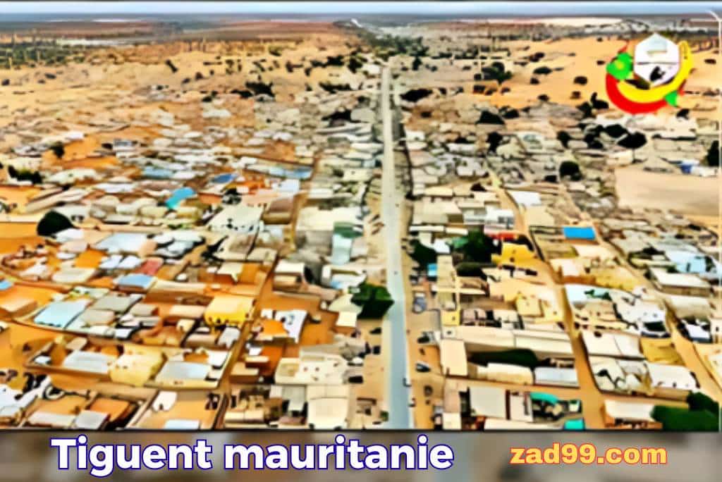 رحلة إلى مدينة تكنت موريتانيا